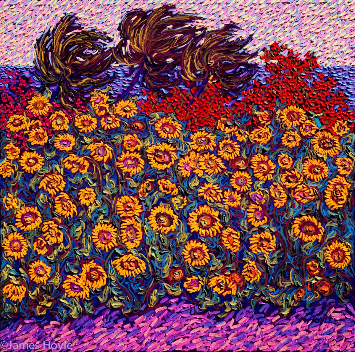 Waimea Sunflowers